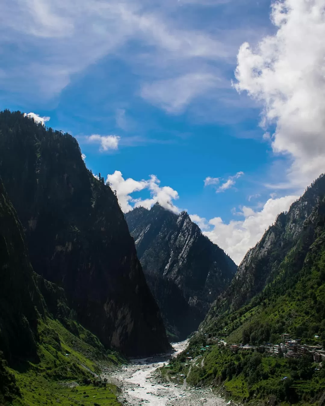 Photo of Valley of Flowers National Park By Sameer