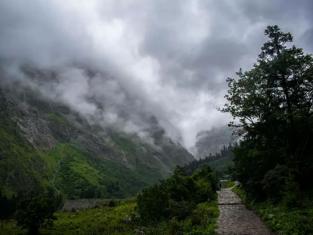 Photo of Valley of Flowers National Park By Sameer