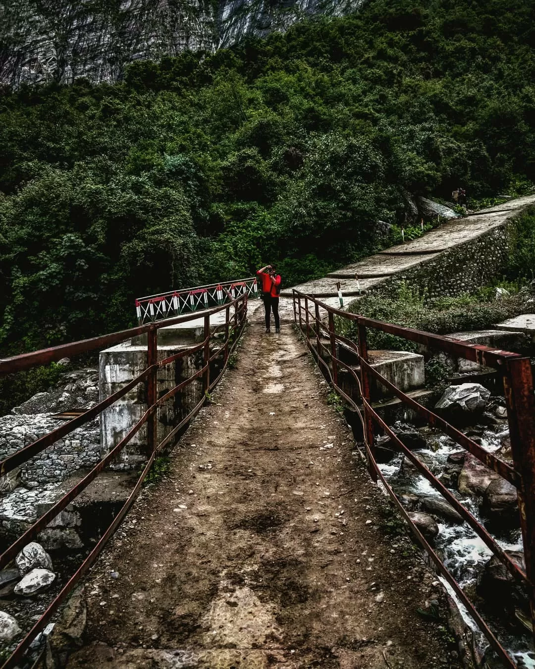 Photo of Valley of Flowers National Park By Sameer