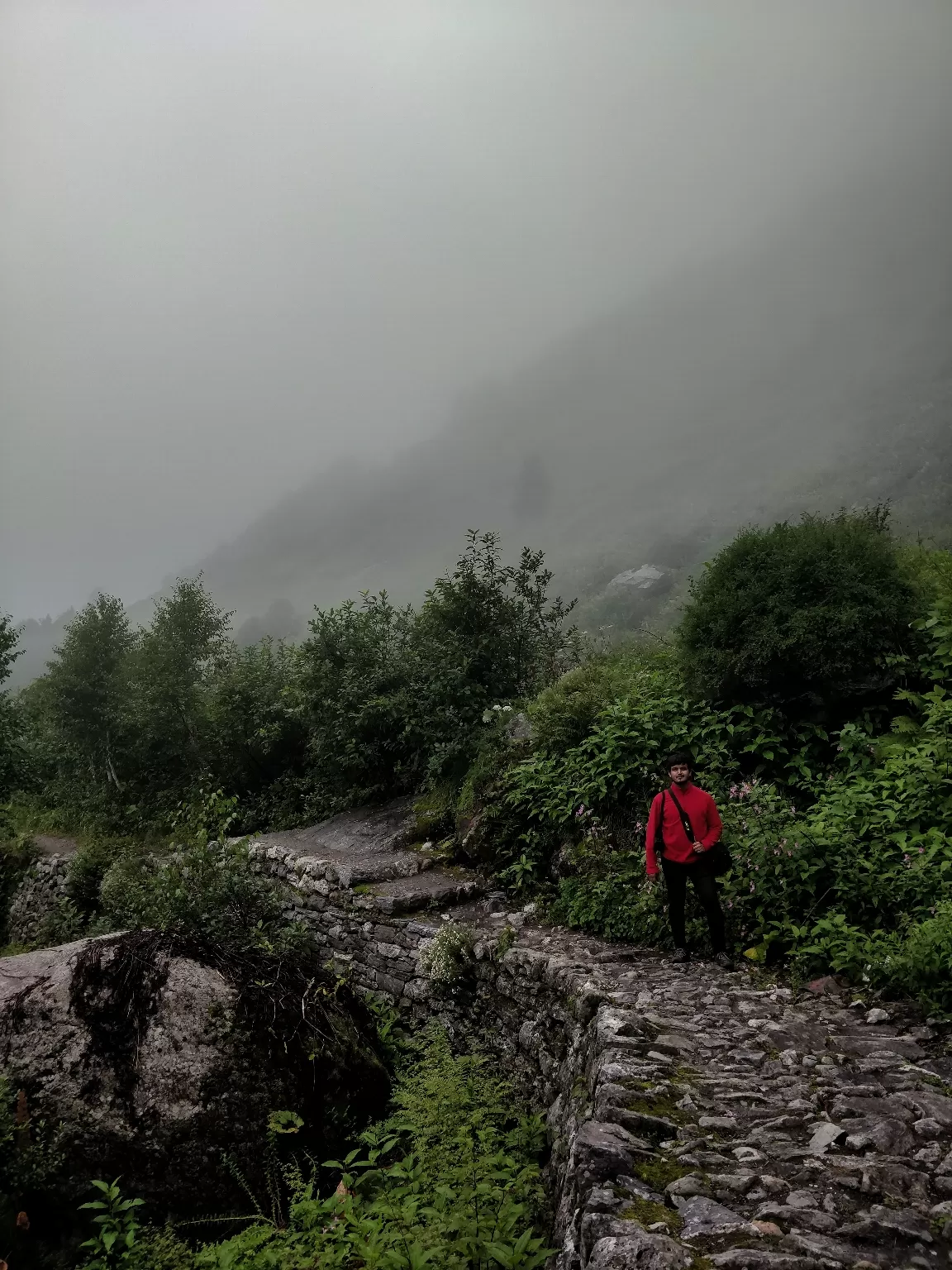 Photo of Valley of Flowers National Park By Sameer