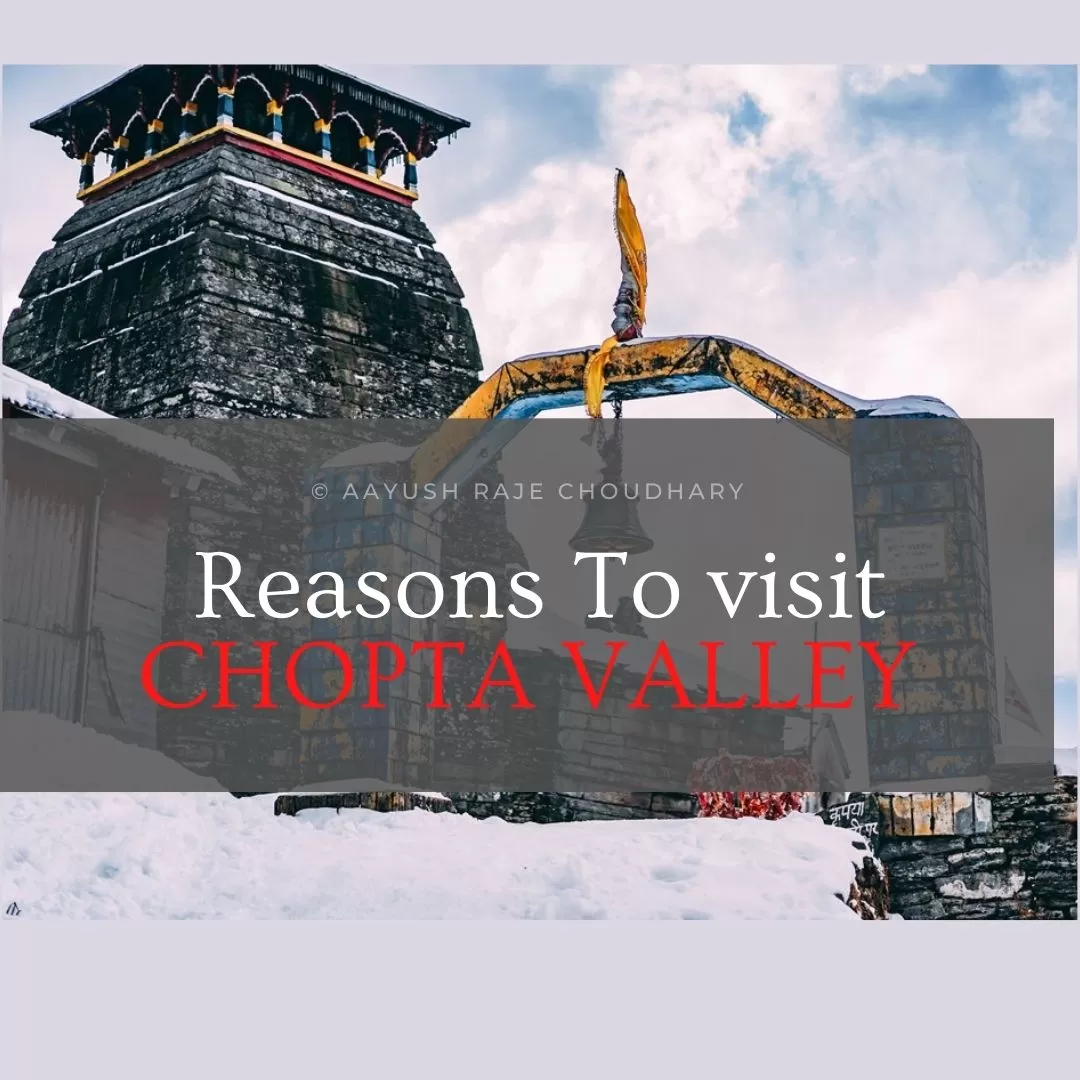 Photo of Chopta By Aayush Raje Choudhary