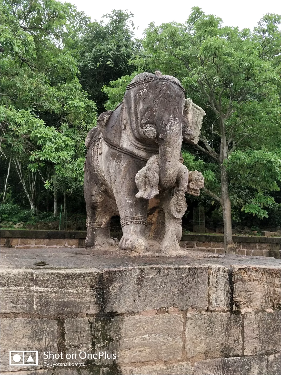 Photo of Konark By Jyotsna Kommu