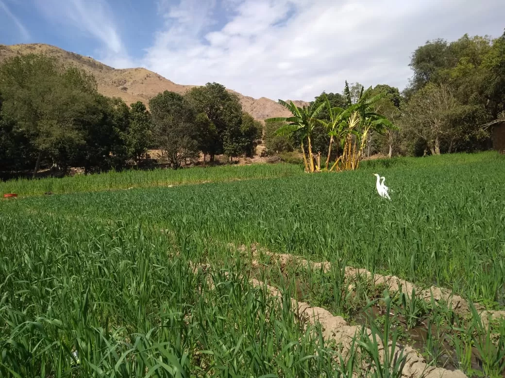 Photo of Kolar By Aayushraj Chouhan