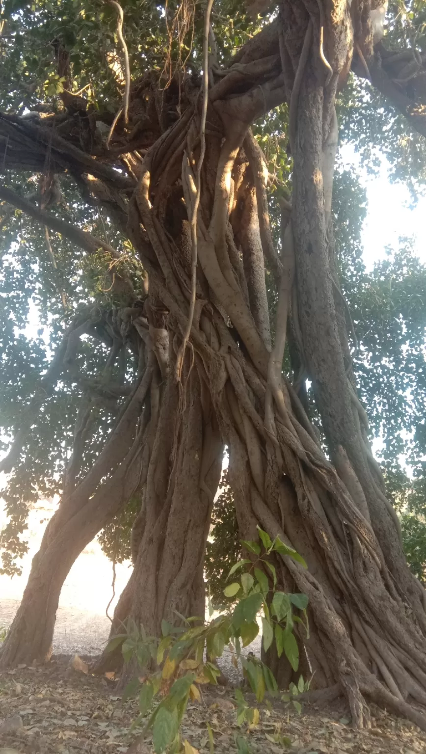 Photo of Kolar By Aayushraj Chouhan