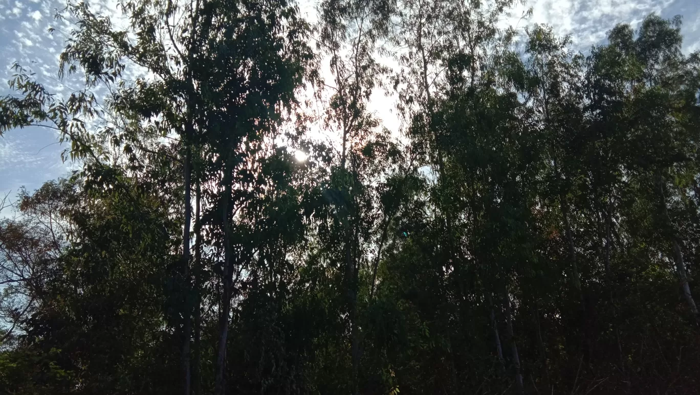 Photo of Kolar By Aayushraj Chouhan