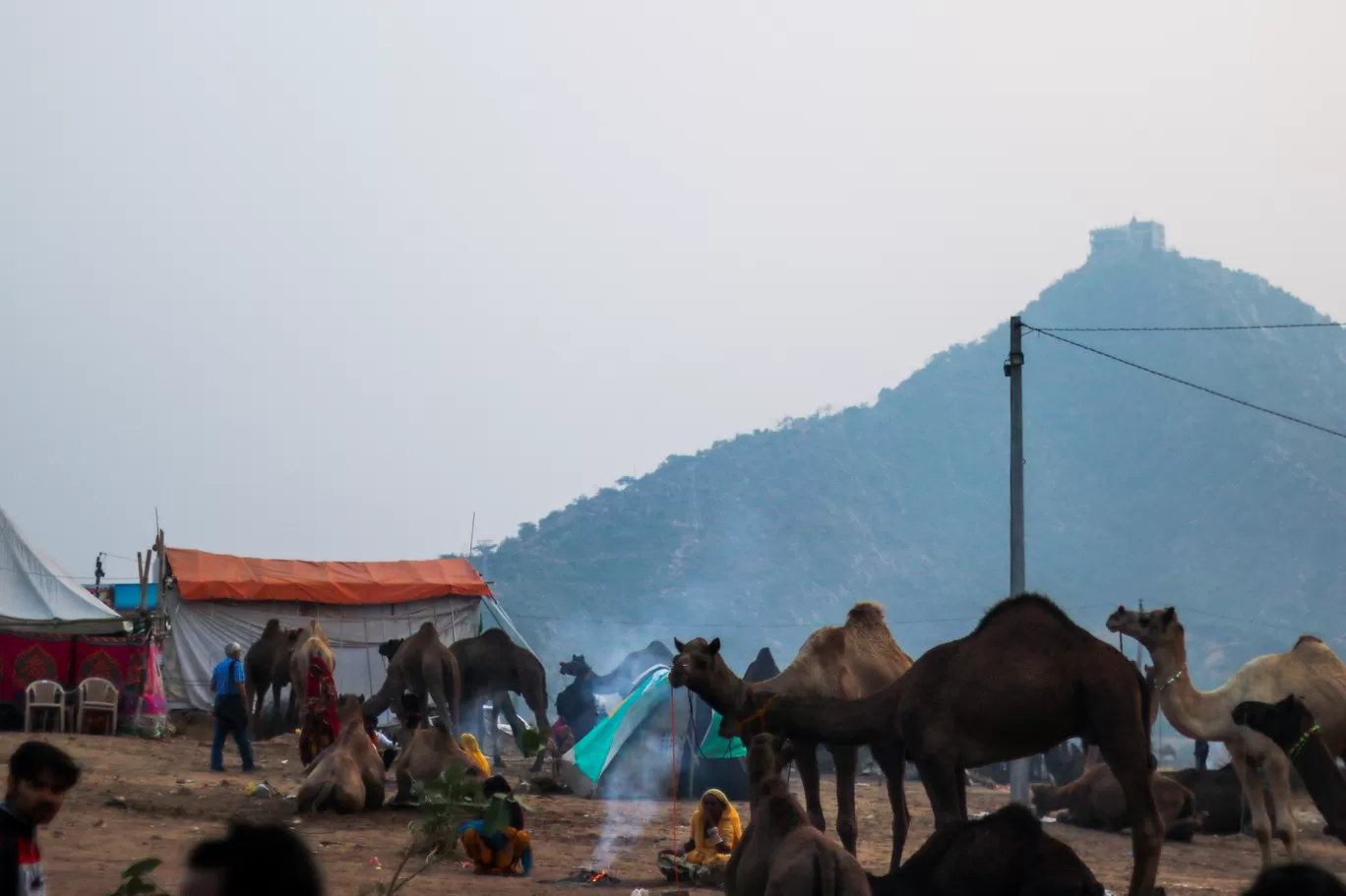 Photo of Pushkar By Jagrut Bhatt