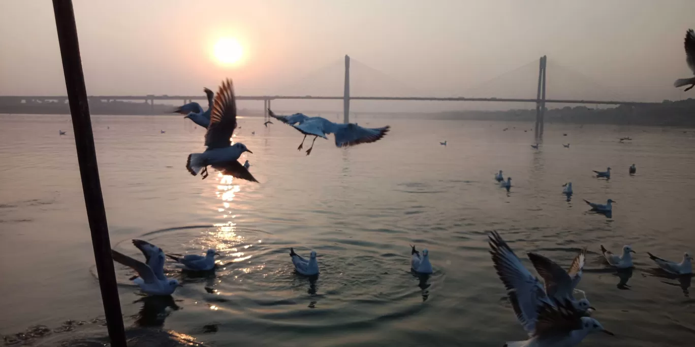 Photo of Prayagraj By Swadha Singh