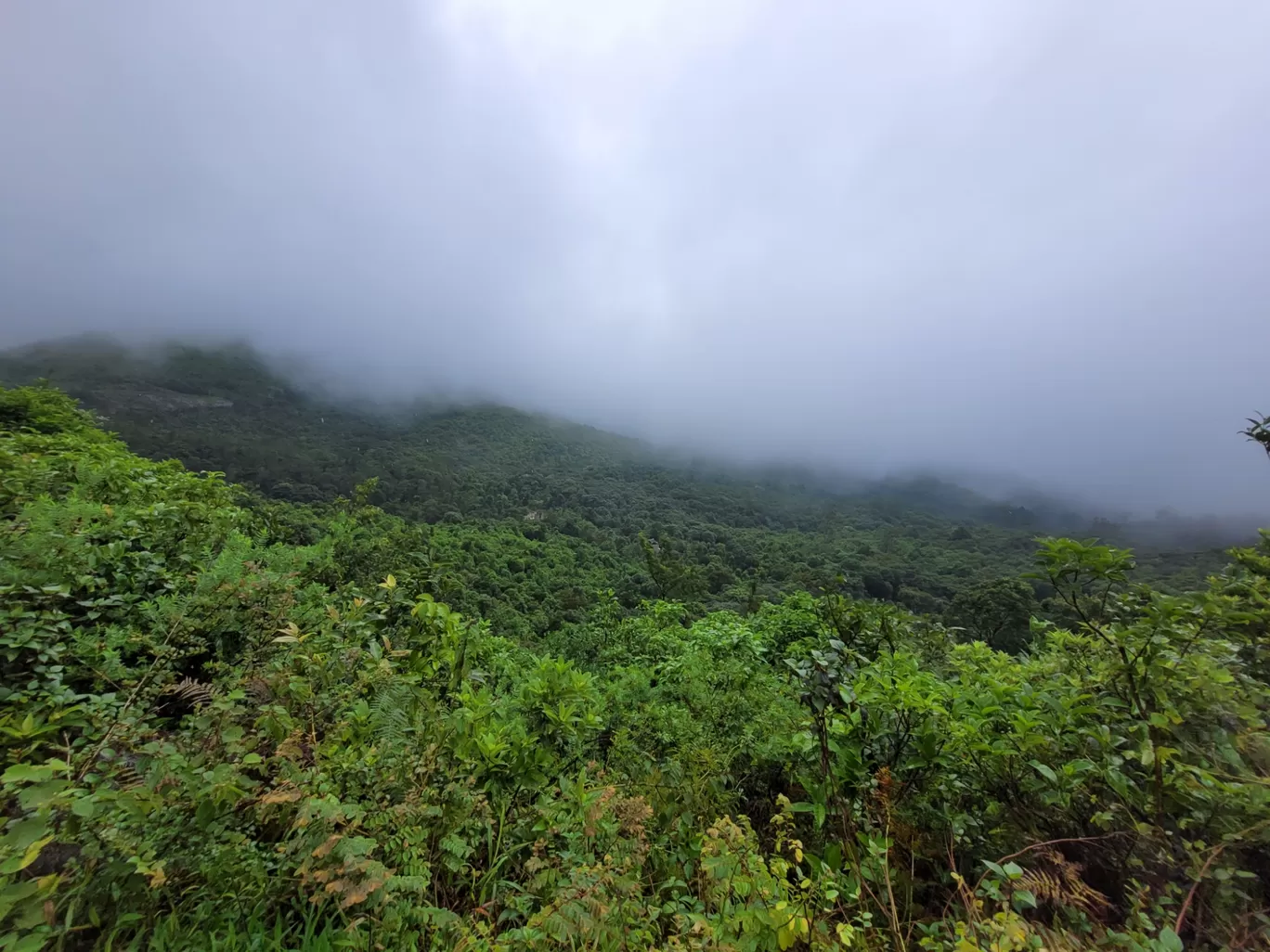 Photo of Tadiyandamol Peak By Harshith Parappu