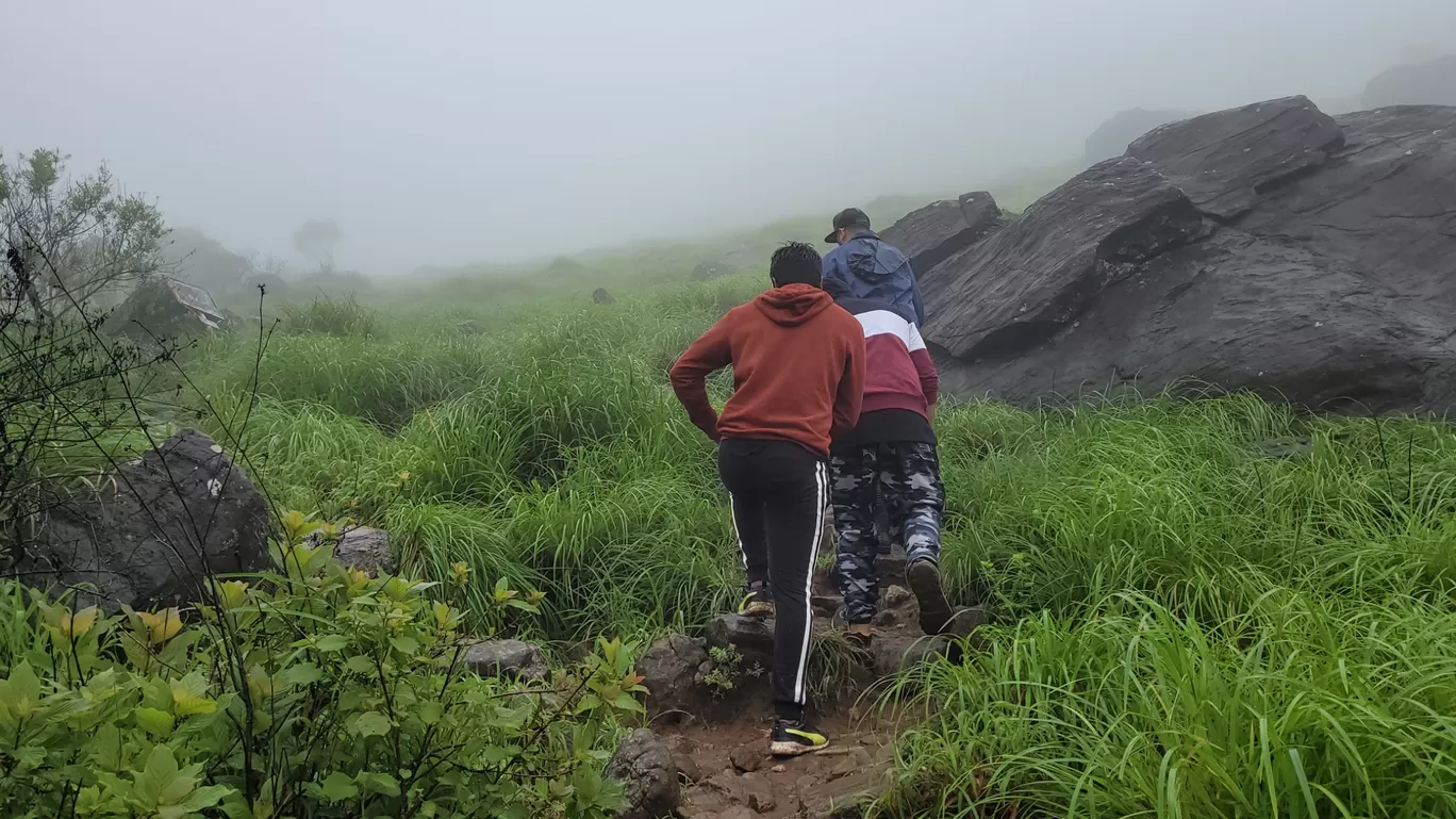 Photo of Tadiyandamol Peak By Harshith Parappu