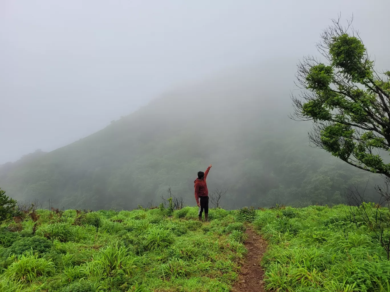 Photo of Tadiyandamol Peak By Harshith Parappu