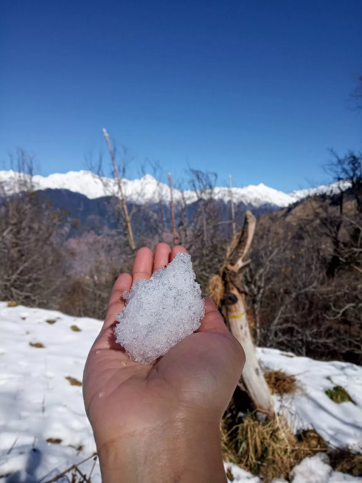 Photo of Himachal Pradesh By Anupriya Asthana