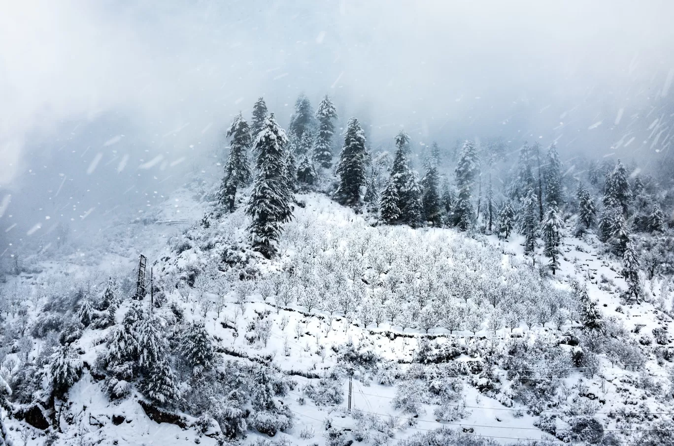 Photo of Himachal Pradesh By Swetanshu Arun
