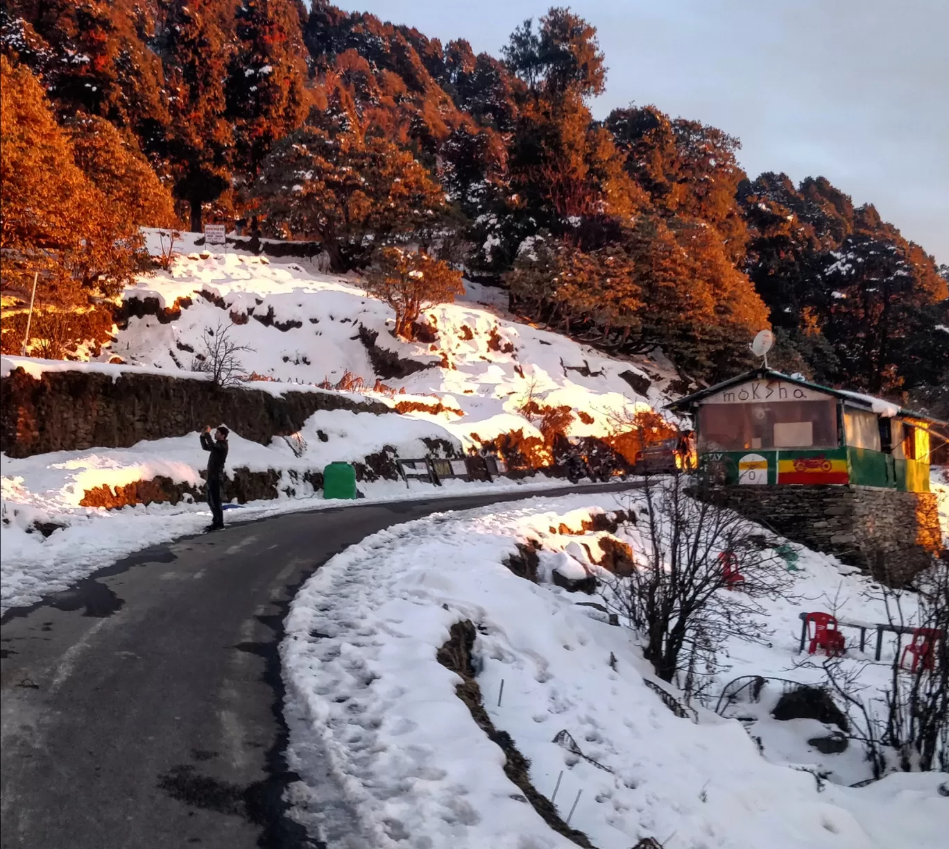 Photo of Chopta By Arpit Madaan