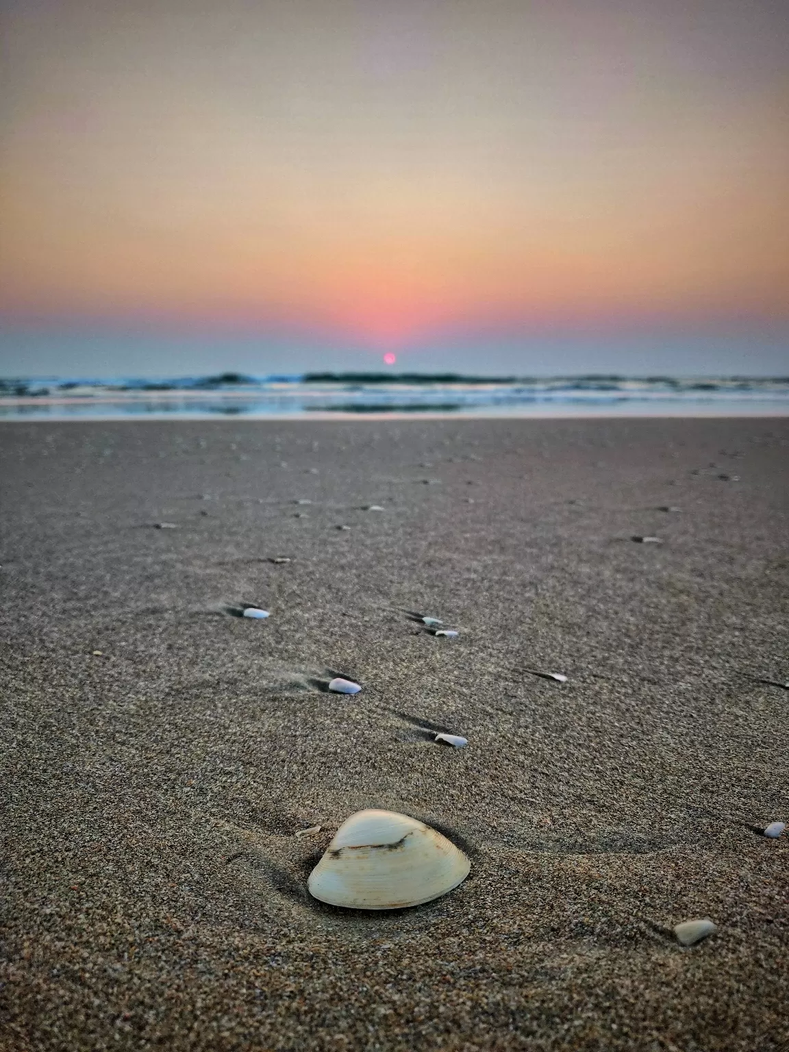 Photo of Majorda Beach By lifebeyonddesk
