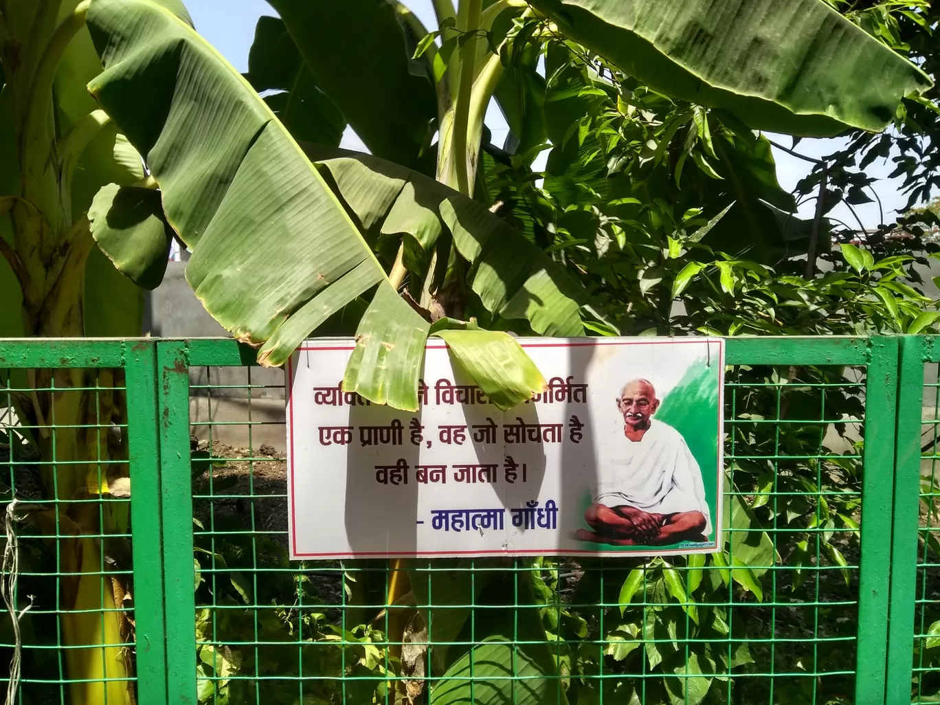 Photo of Gandhi Bhawan By Mohsin Wali