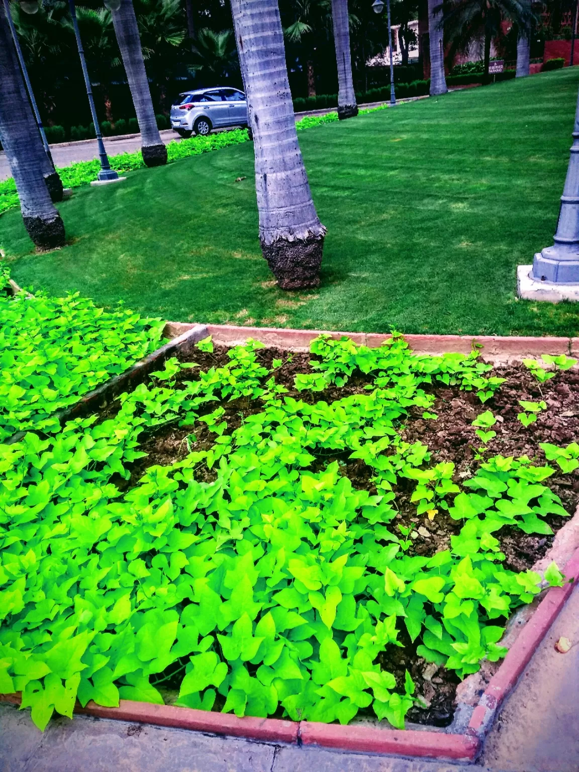 Photo of India Habitat Centre Gate No. 3 By Mohsin Wali