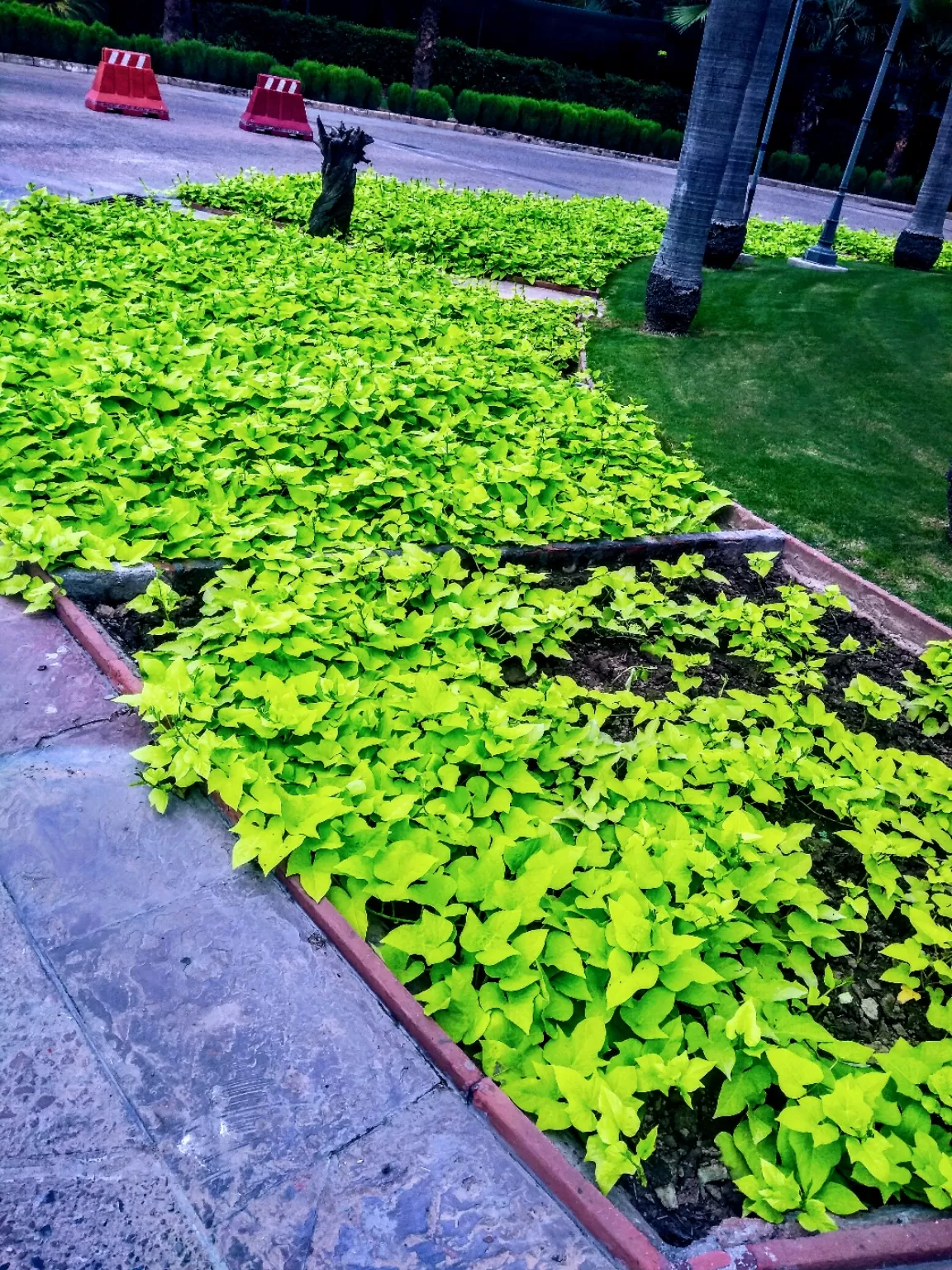 Photo of India Habitat Centre Gate No. 3 By Mohsin Wali