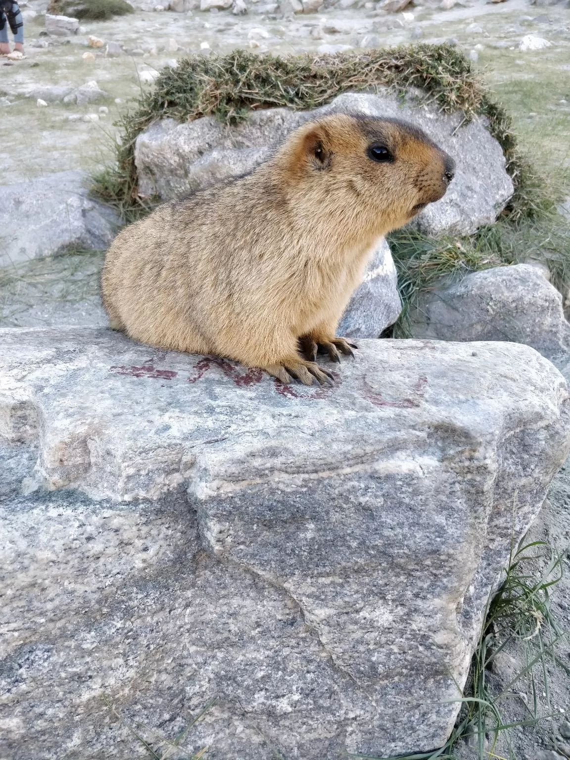 Photo of Ladakh Vacation By Rahul Kasbekar
