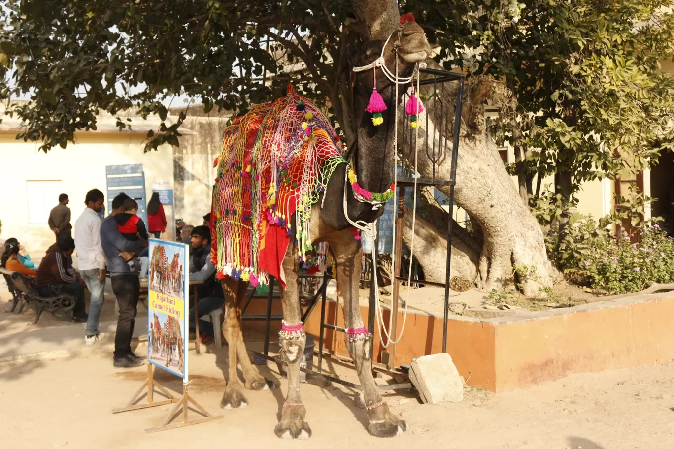 Photo of Jaipur By Amal Srivastav