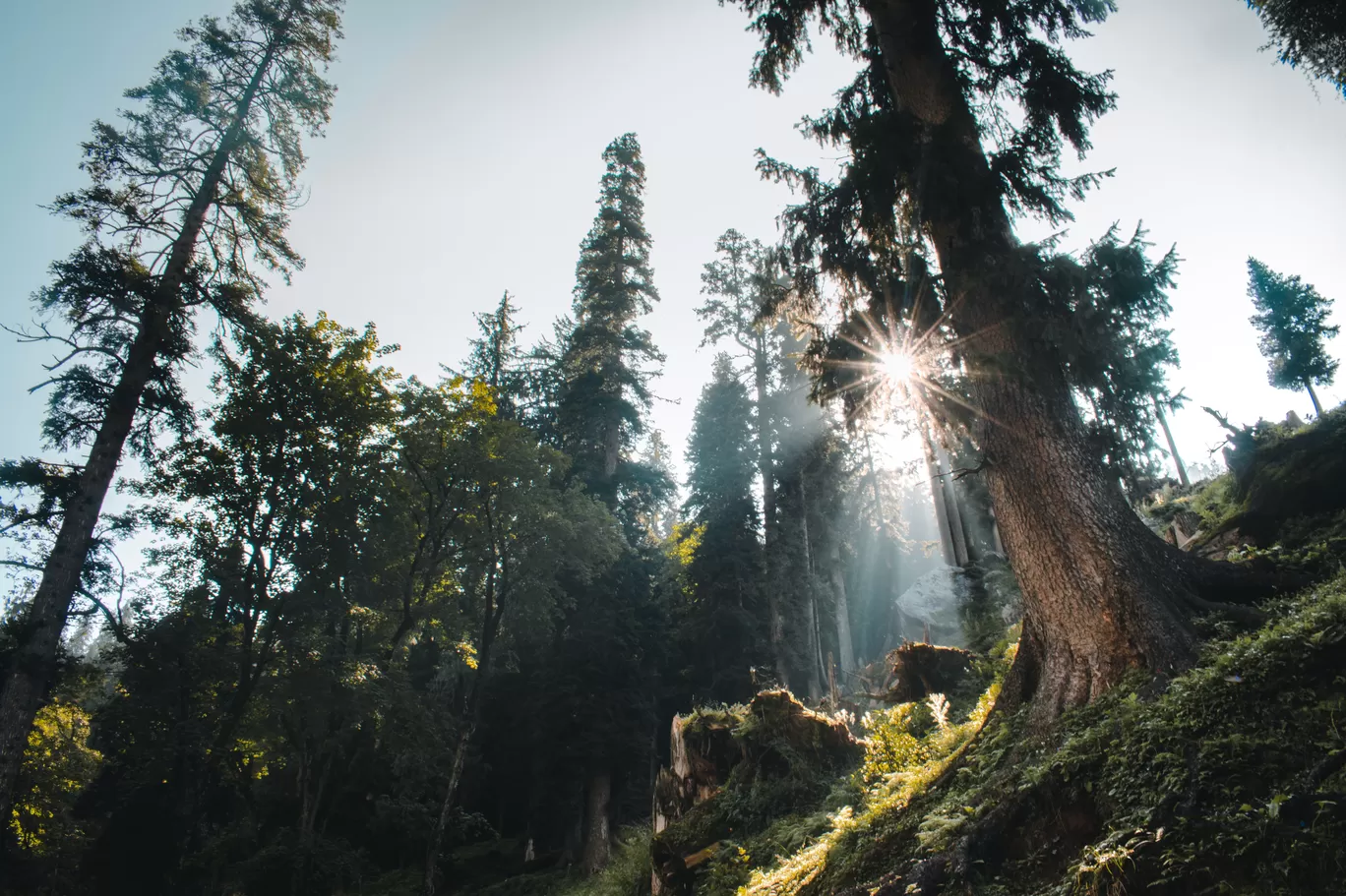 Photo of Sethan By Rohan Shahi