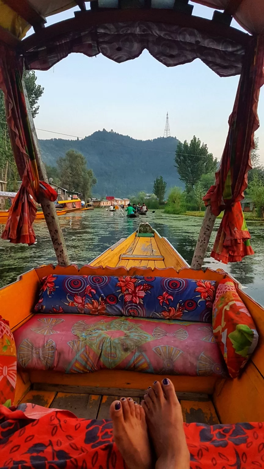 Photo of Dal Lake By Pooja Khandelwal