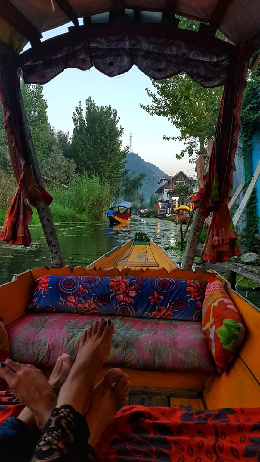 Photo of Dal Lake By Pooja Khandelwal