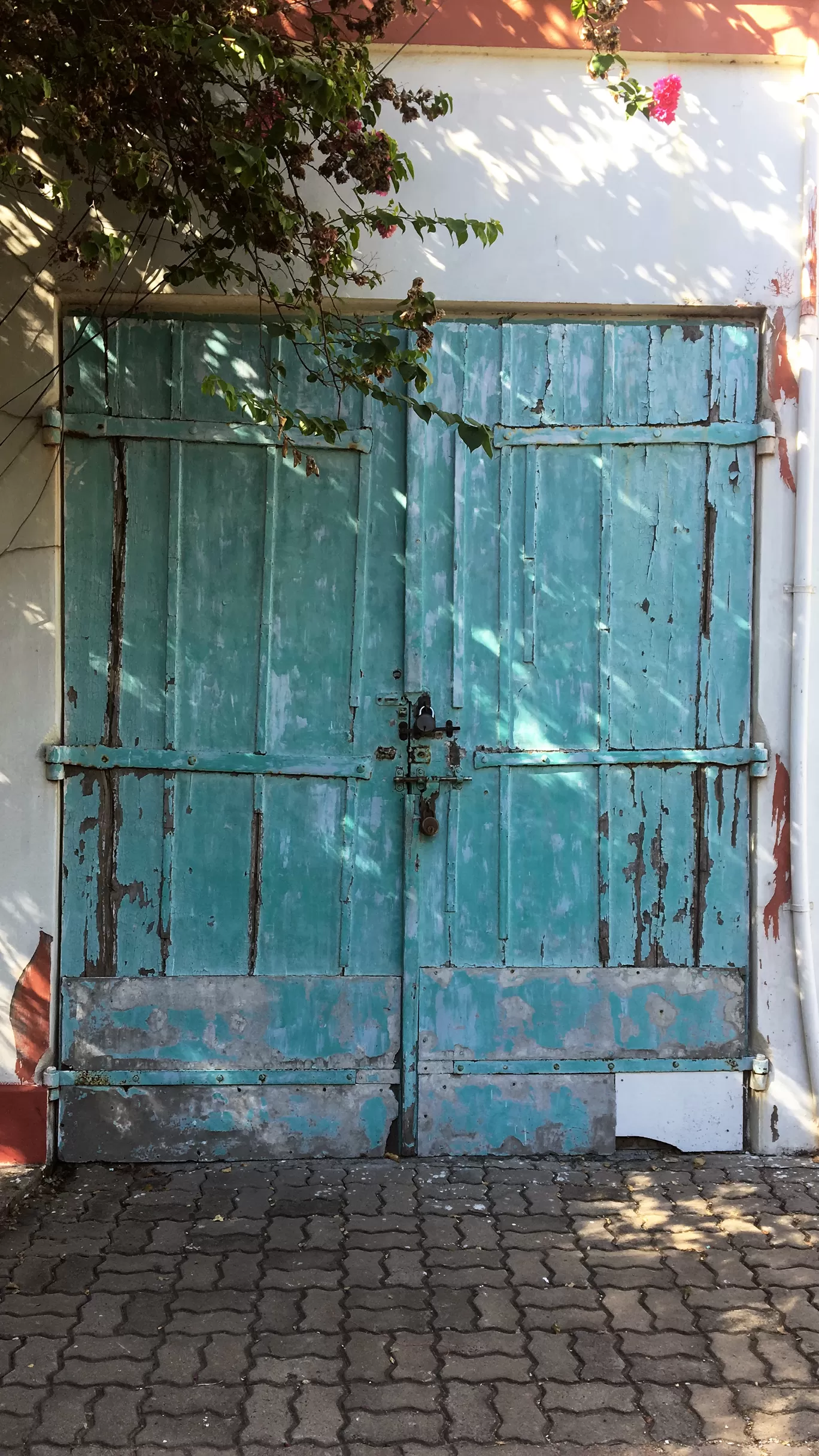 Photo of Puducherry By Vatsala Mehra