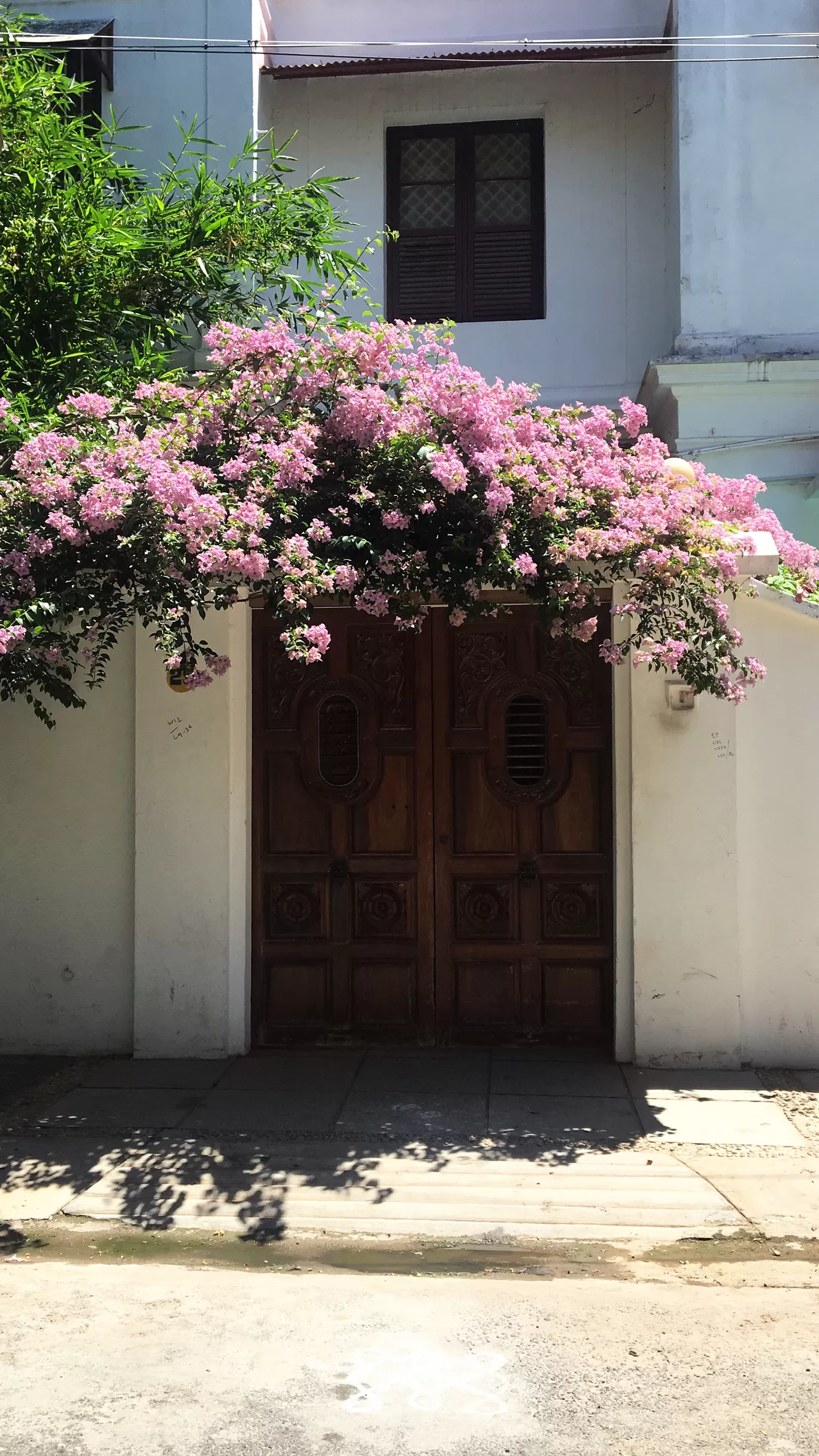 Photo of Puducherry By Vatsala Mehra