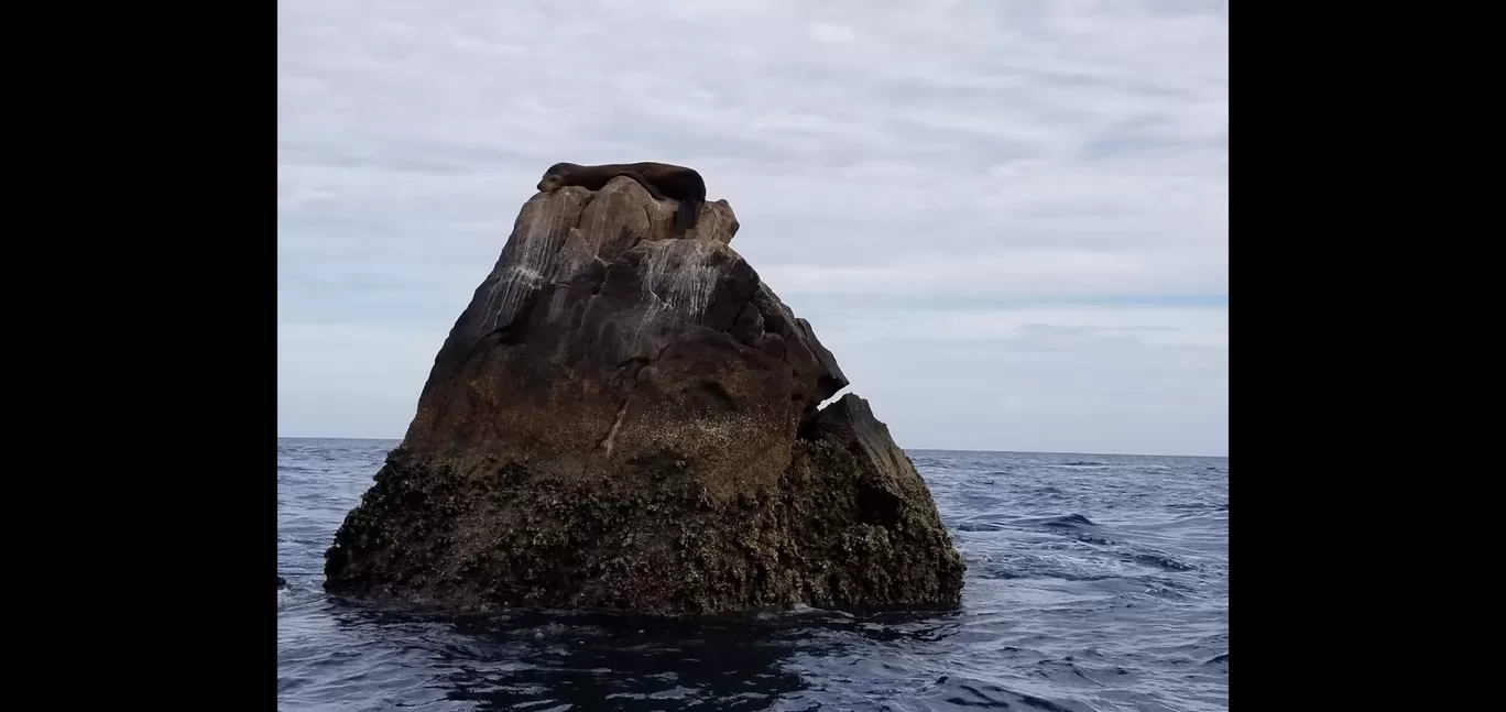 Photo of Cabo By Shraddha Subramanian