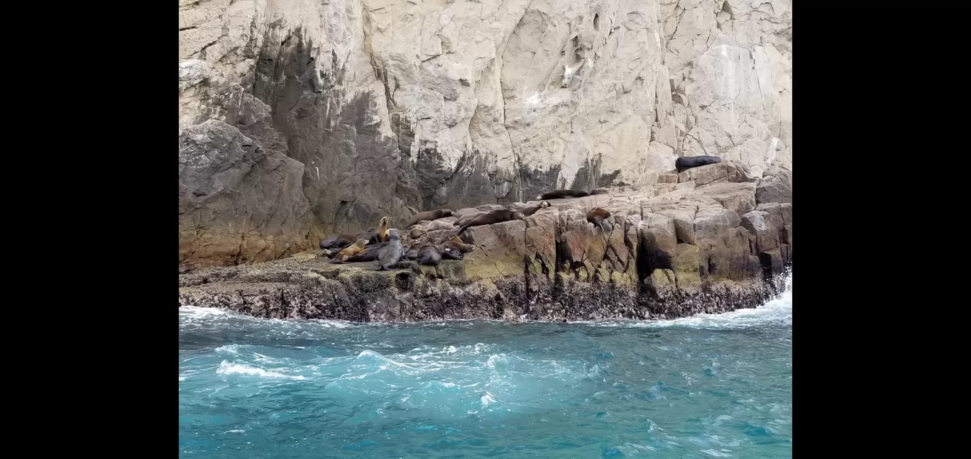 Photo of Cabo By Shraddha Subramanian