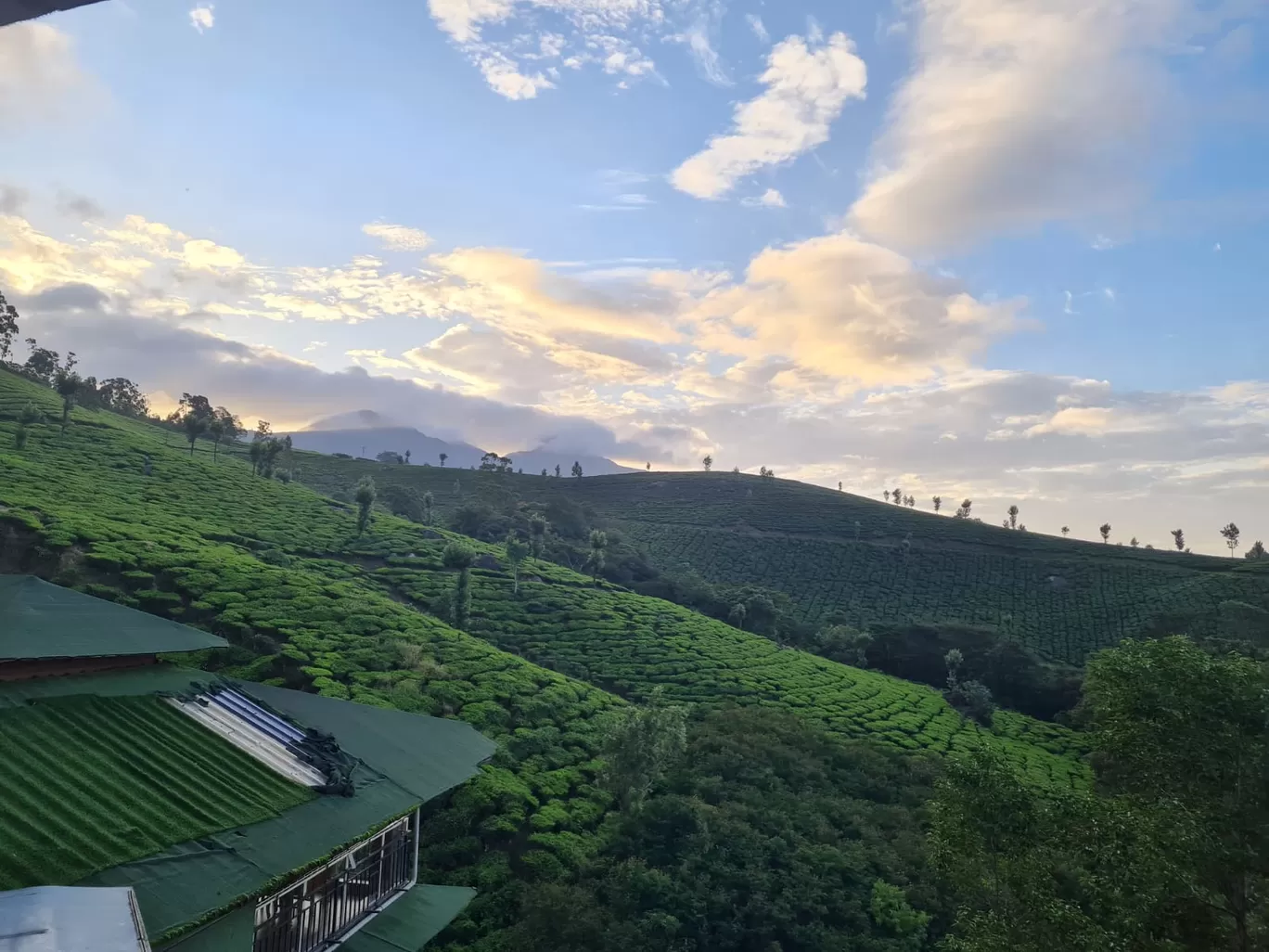 Photo of Munnar By swetha ojha