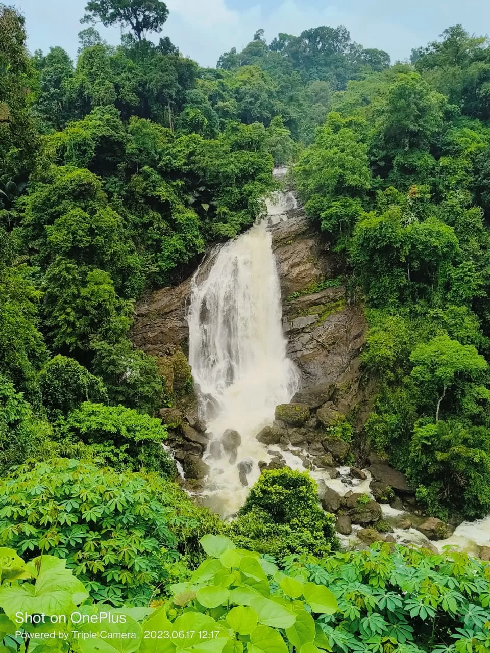 Photo of Munnar By swetha ojha