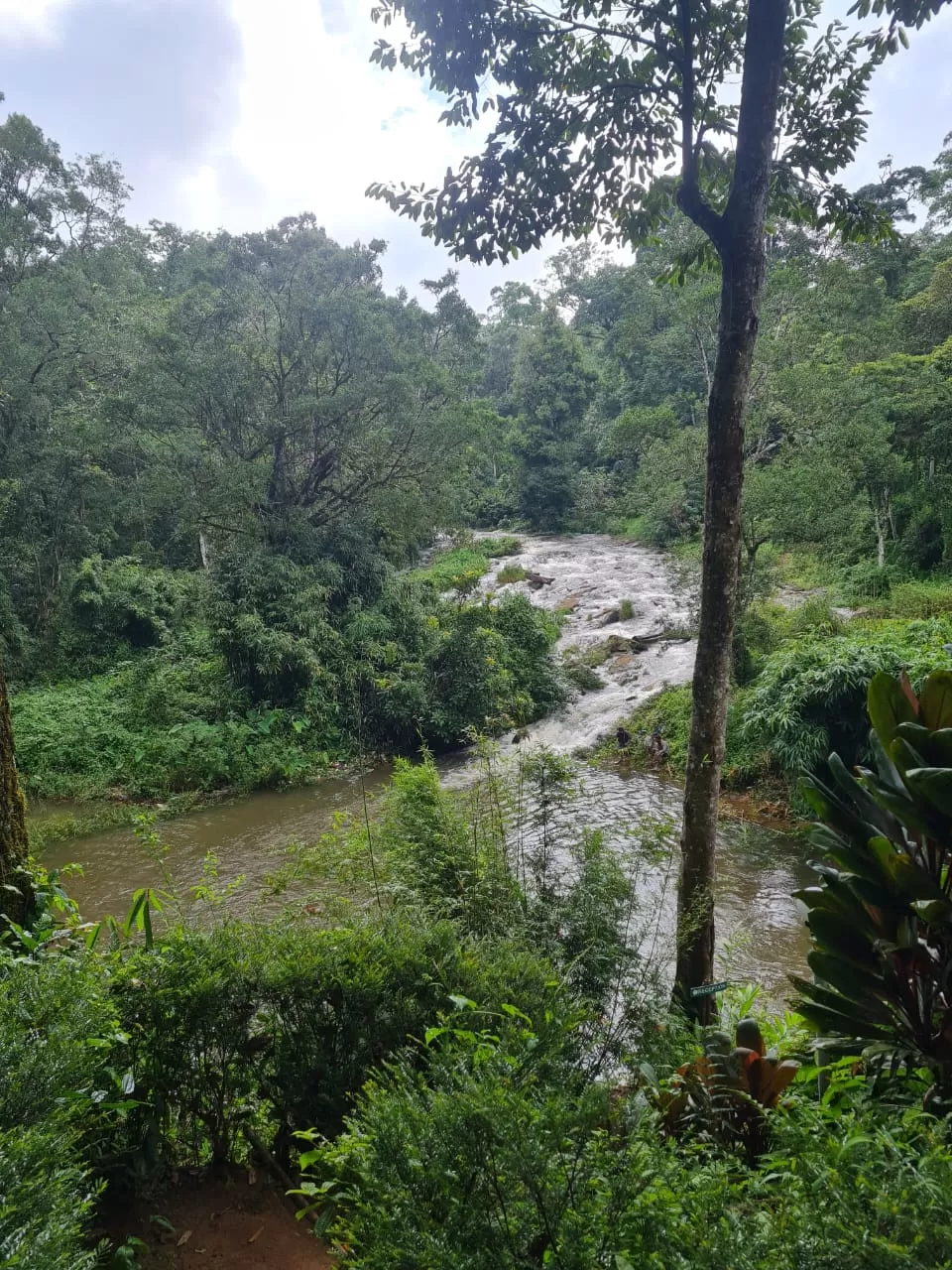 Photo of Munnar By swetha ojha