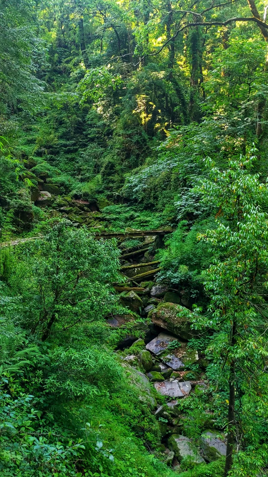 Photo of Pindari Glacier By Roopesh Anjumana