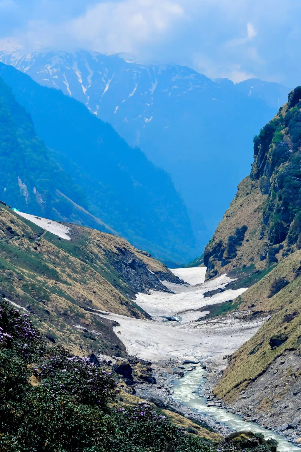 Photo of Pindari Glacier By Roopesh Anjumana