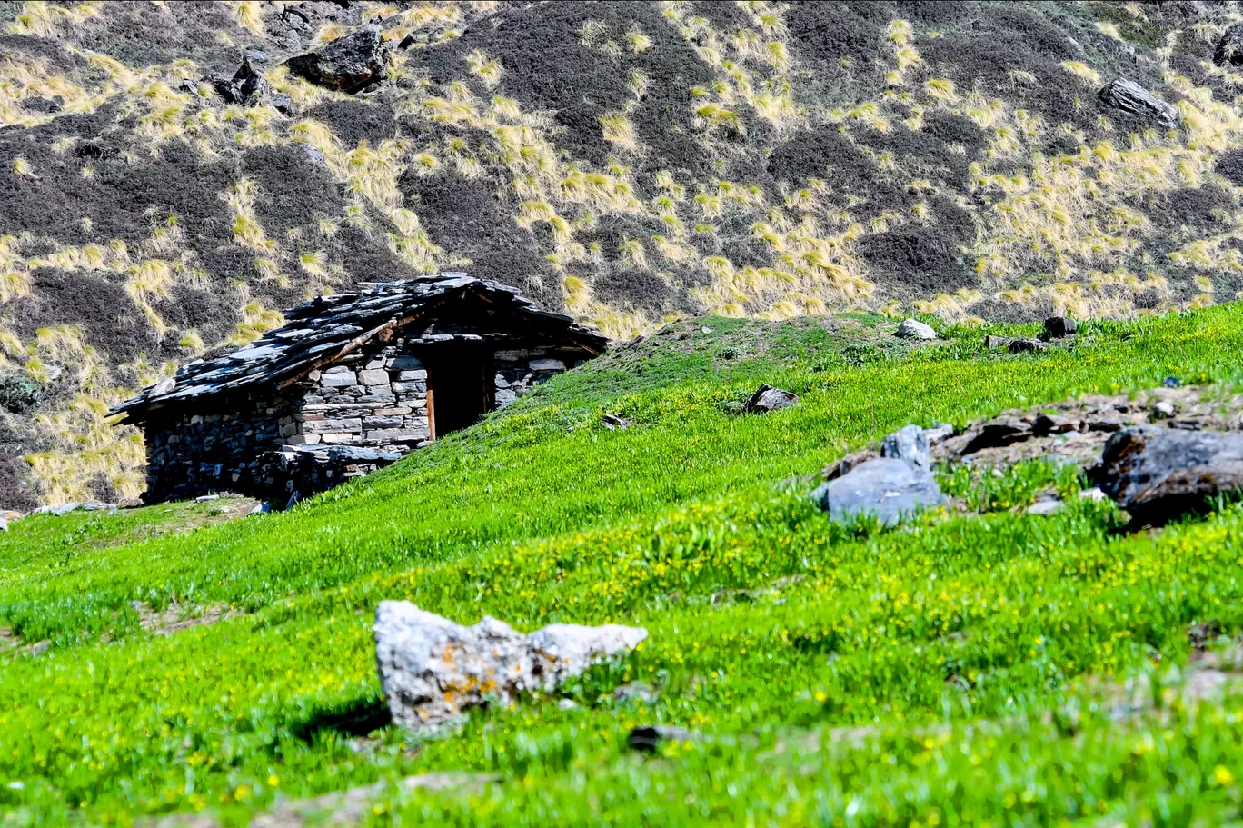 Photo of Pindari Glacier By Roopesh Anjumana