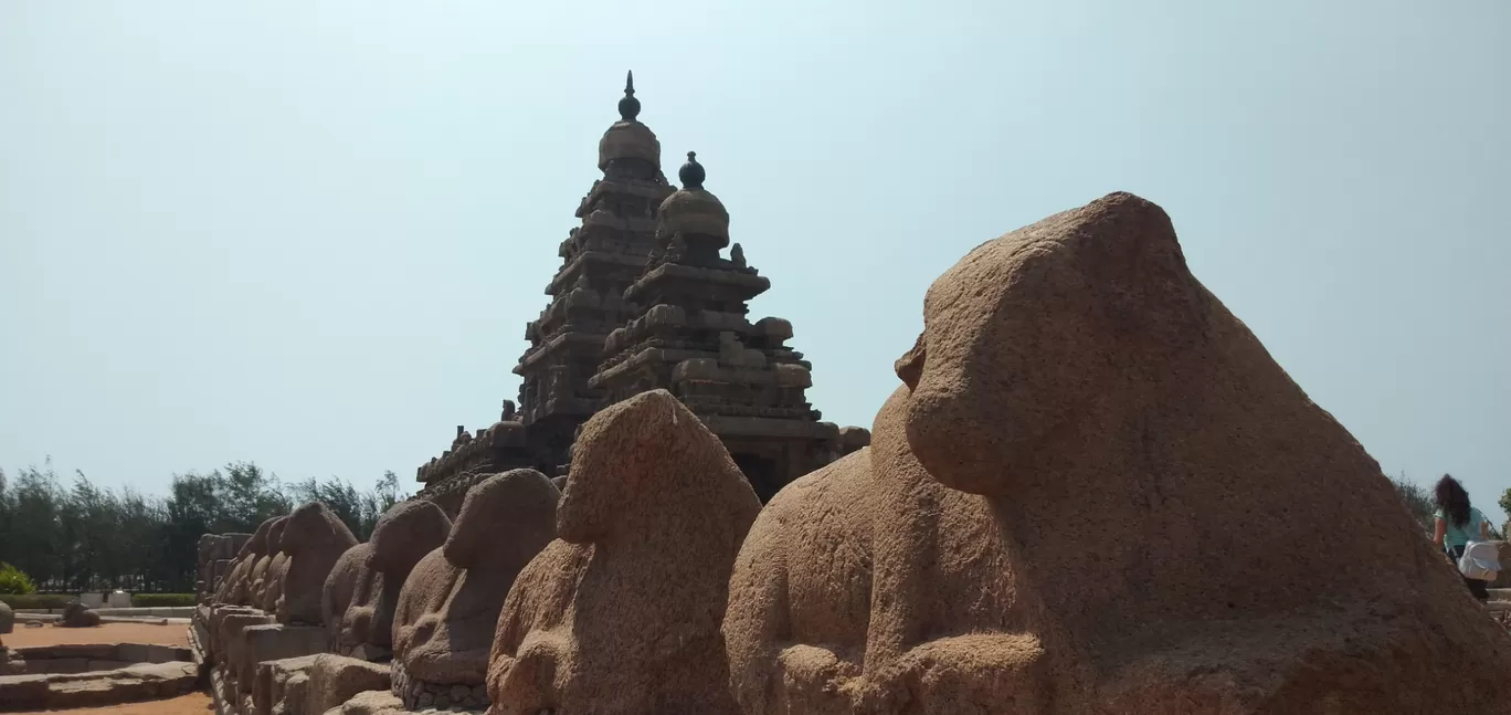 Photo of Mahabalipuram By PIYUSH PATIDAR