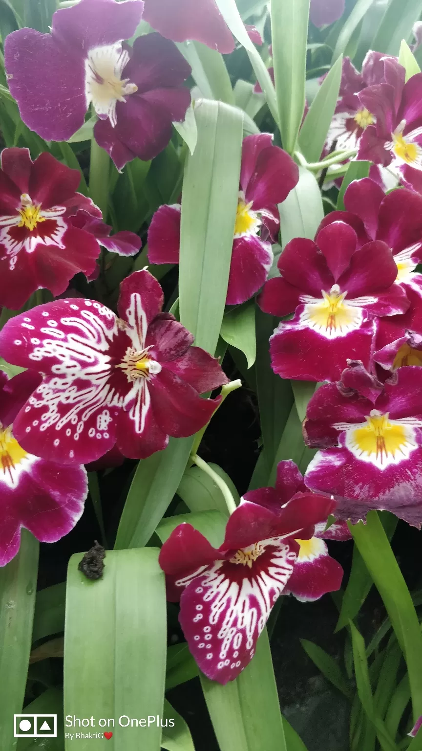 Photo of Gardens by the Bay By Bhakti