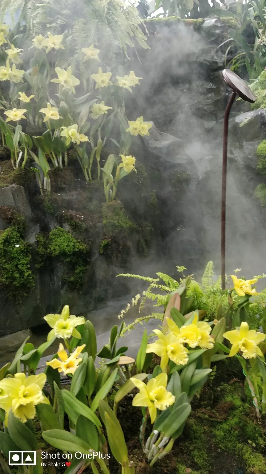 Photo of Gardens by the Bay By Bhakti