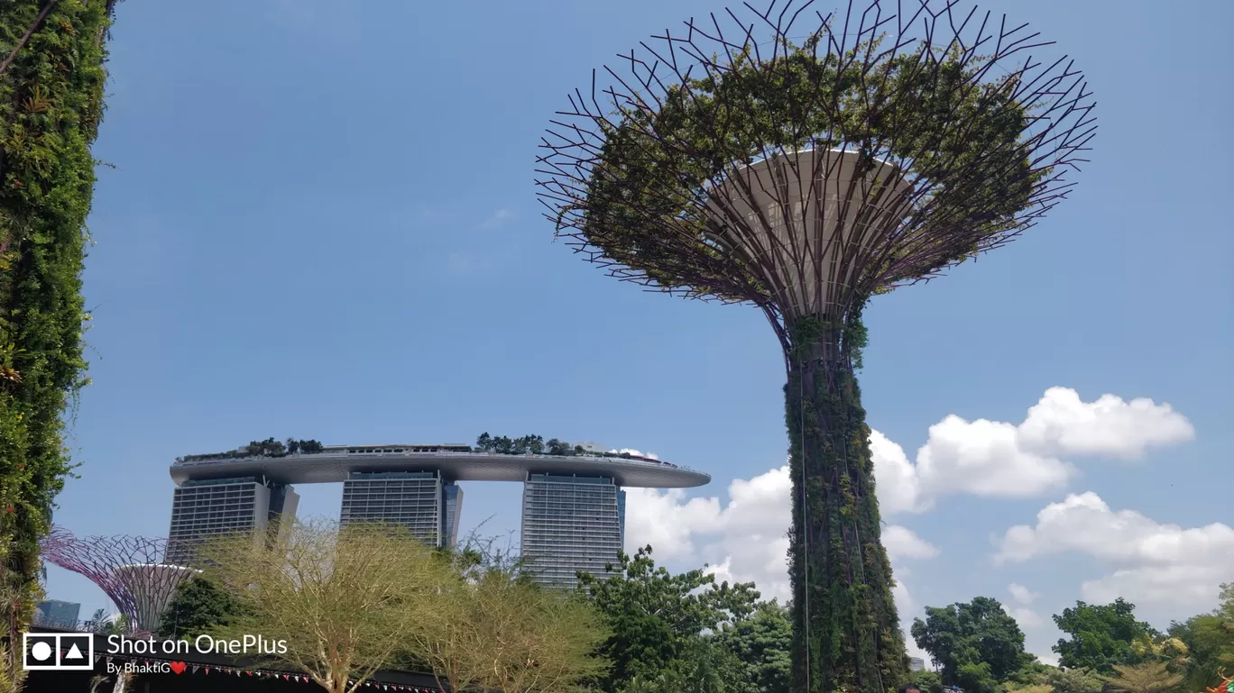 Photo of Gardens by the Bay By Bhakti