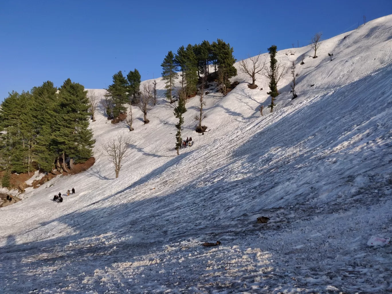 Photo of Patnitop By Tejasv Sharma