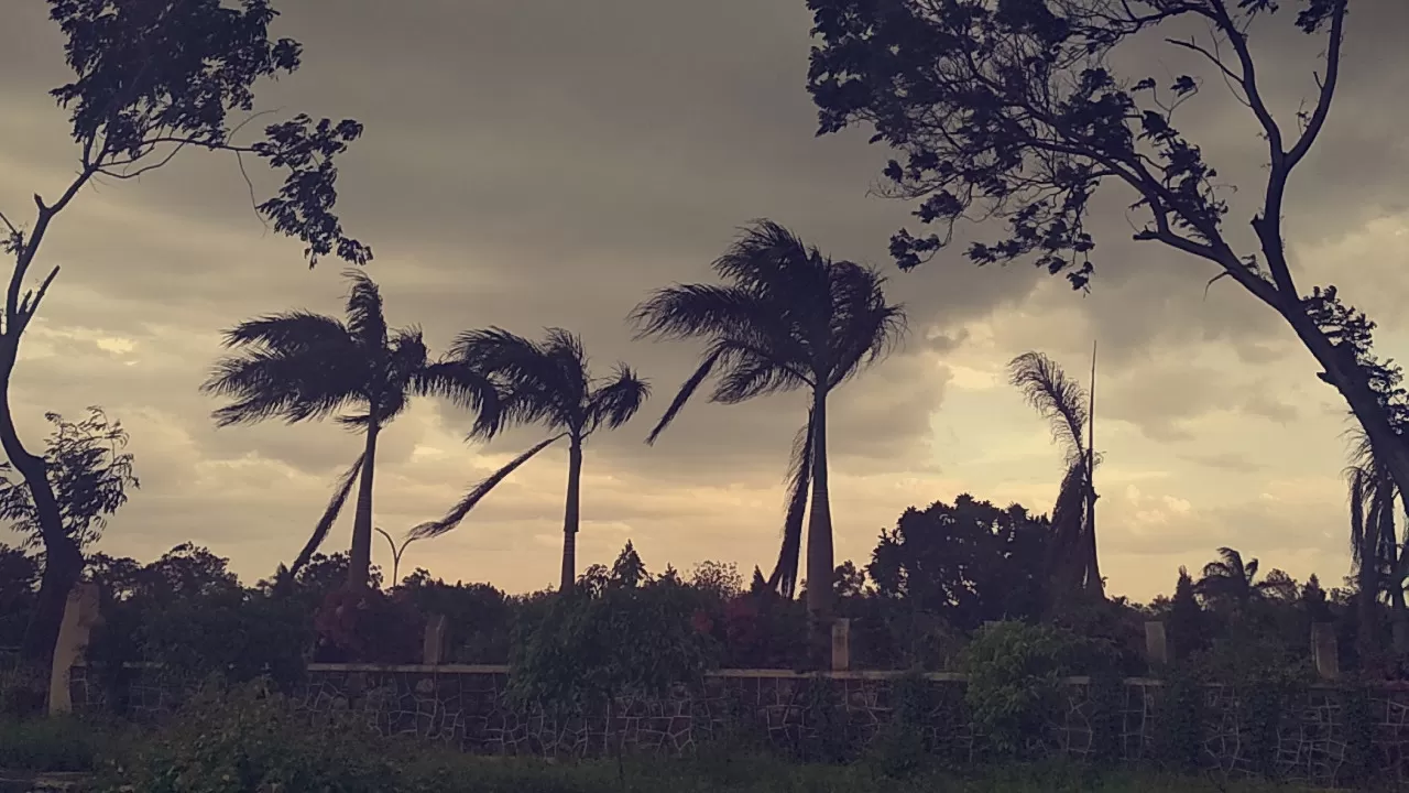 Photo of Akola By Parth Shah