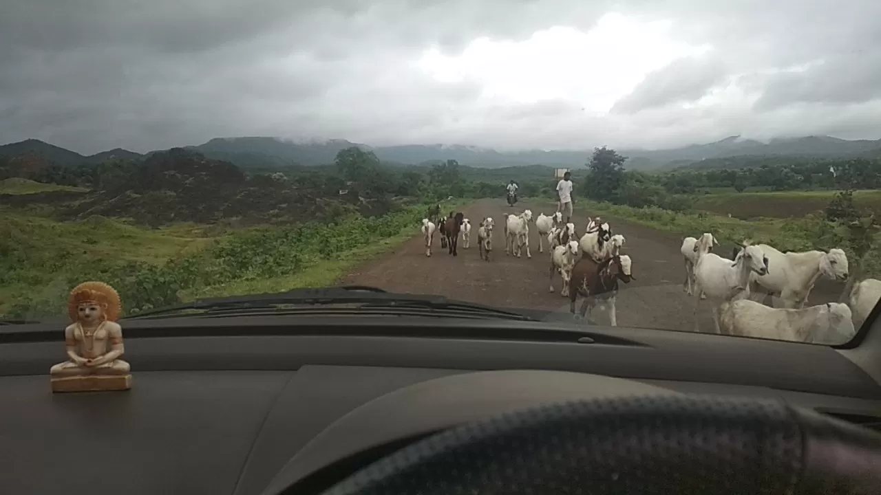 Photo of Akola By Parth Shah