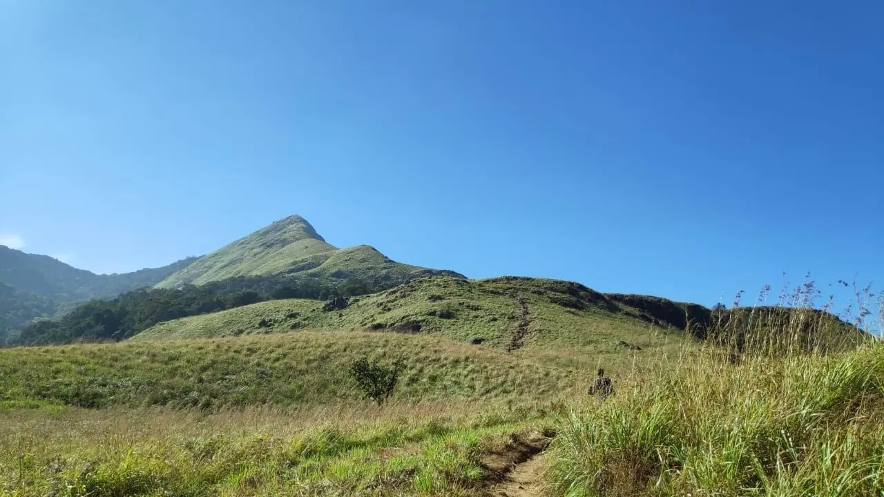 Photo of Chembra Peak Heart Lake By midhila