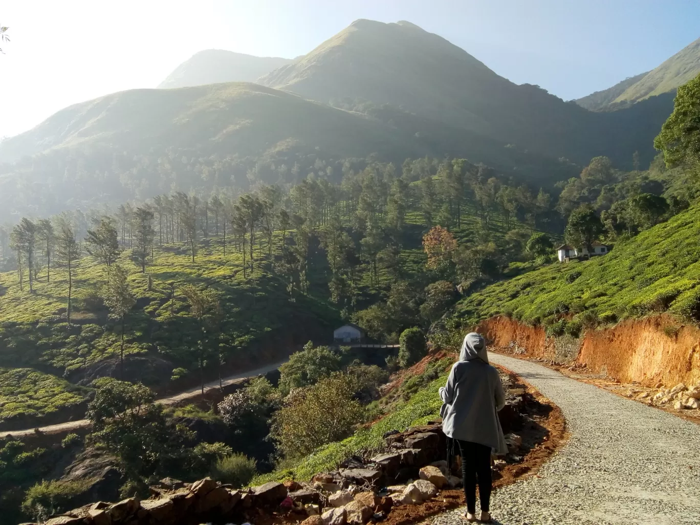 Photo of Chembra Peak Heart Lake By midhila