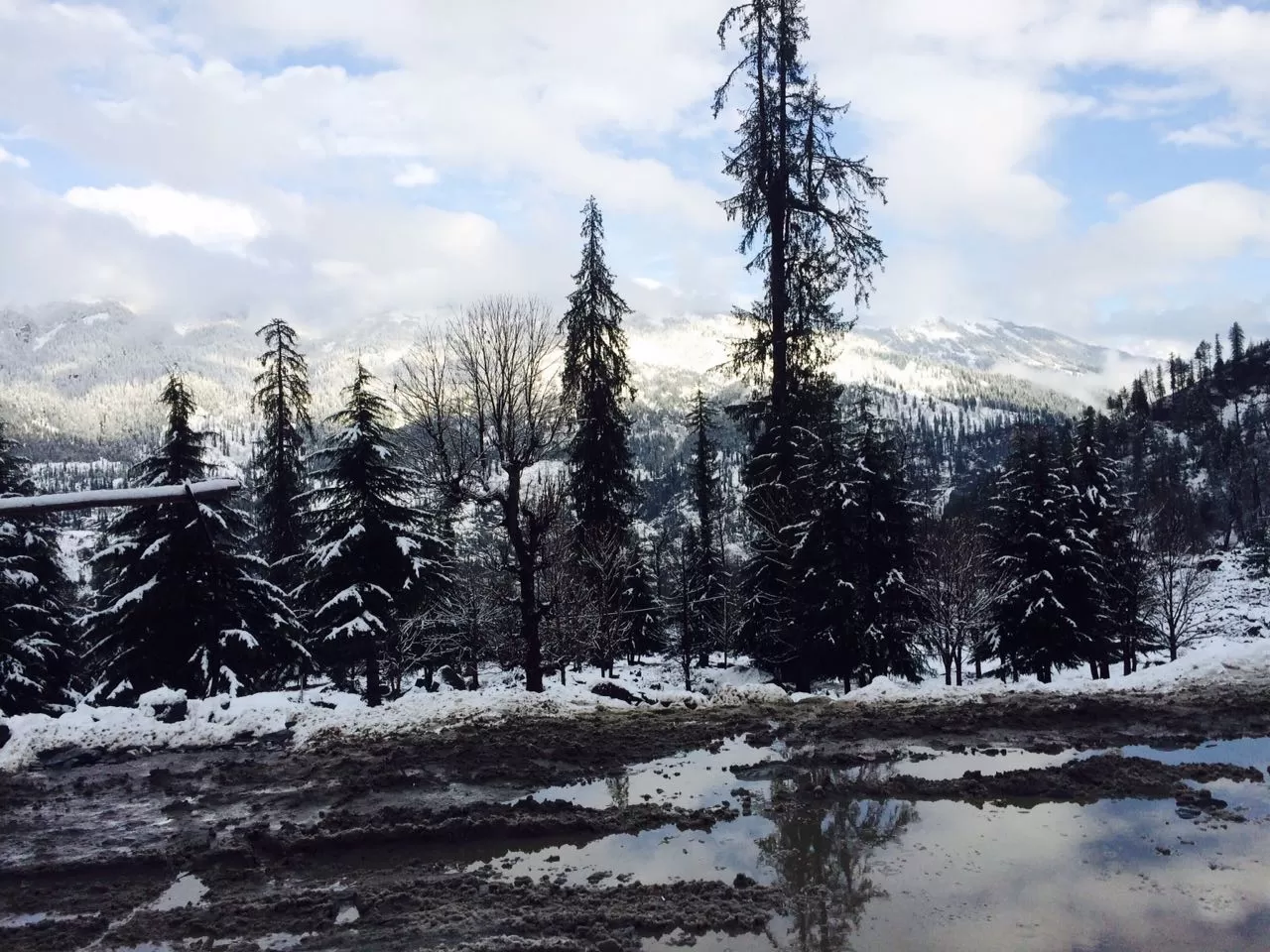 Photo of Manali By Umesh Manhas