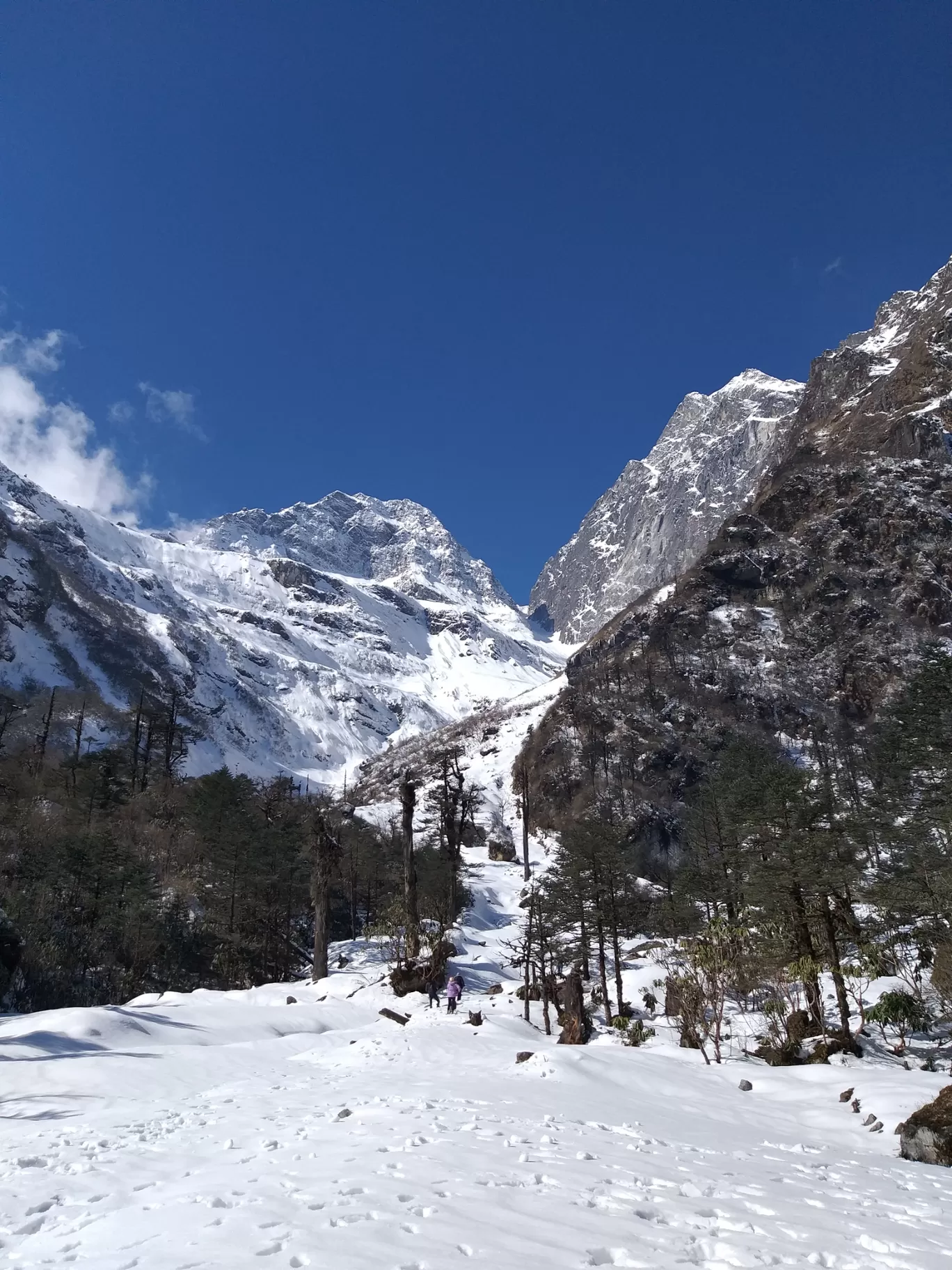 Photo of Lachung By Dr. Ritesh Sompura