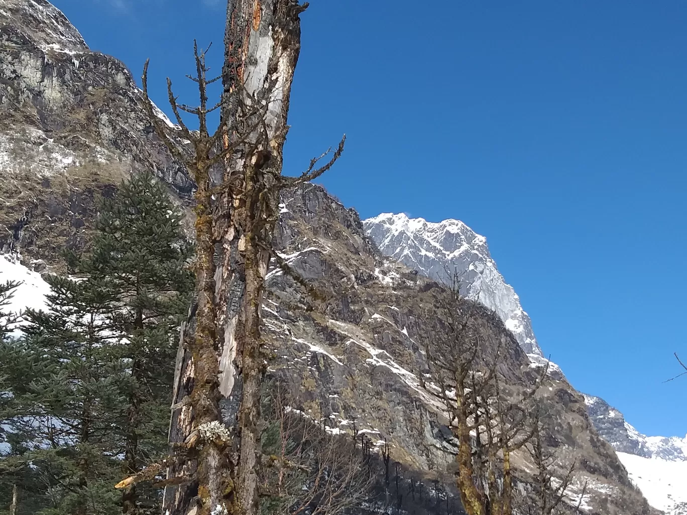 Photo of Lachung By Dr. Ritesh Sompura