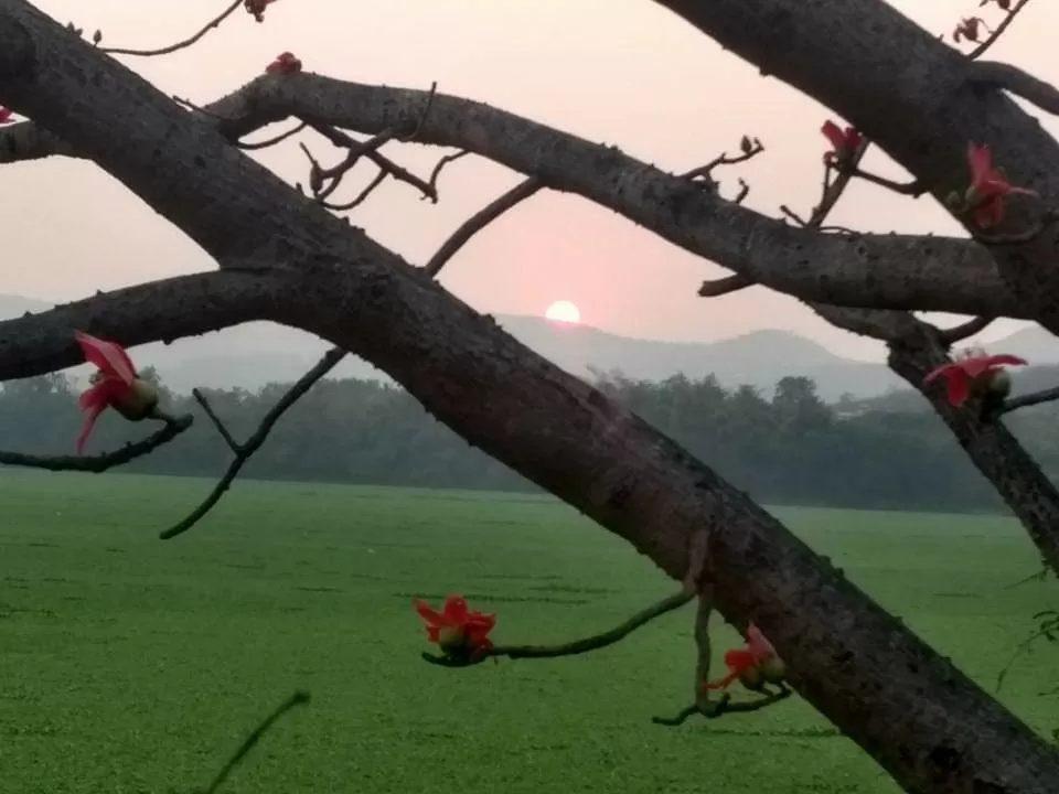 Photo of Pune By Anik Patni