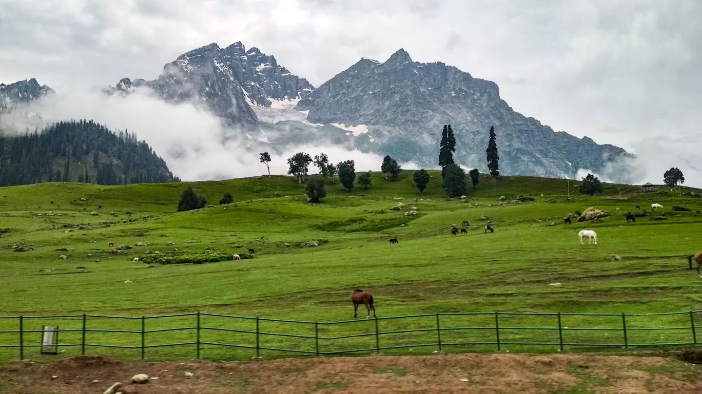 Photo of Sonamarg By Raqeeb Mushtaq